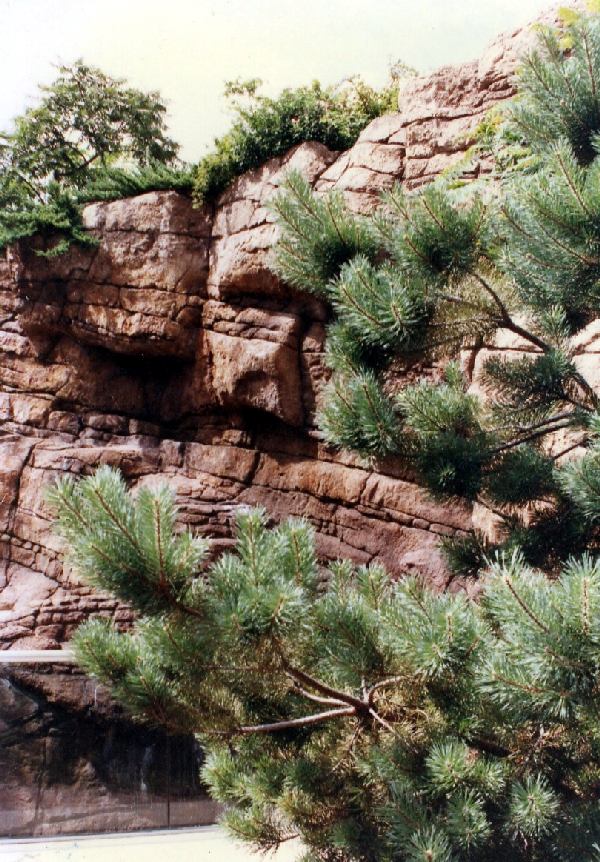 Various pictures of the Waters building