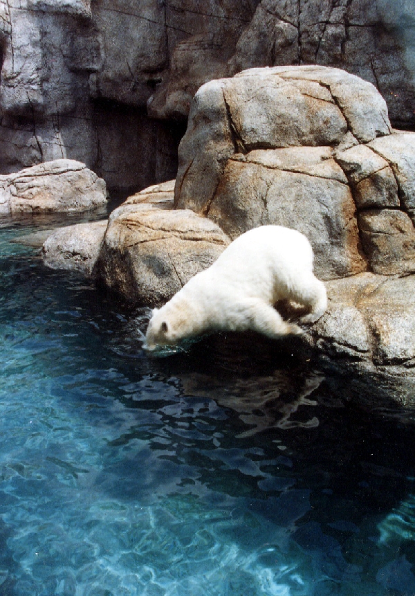 Various pictures of the Waters building