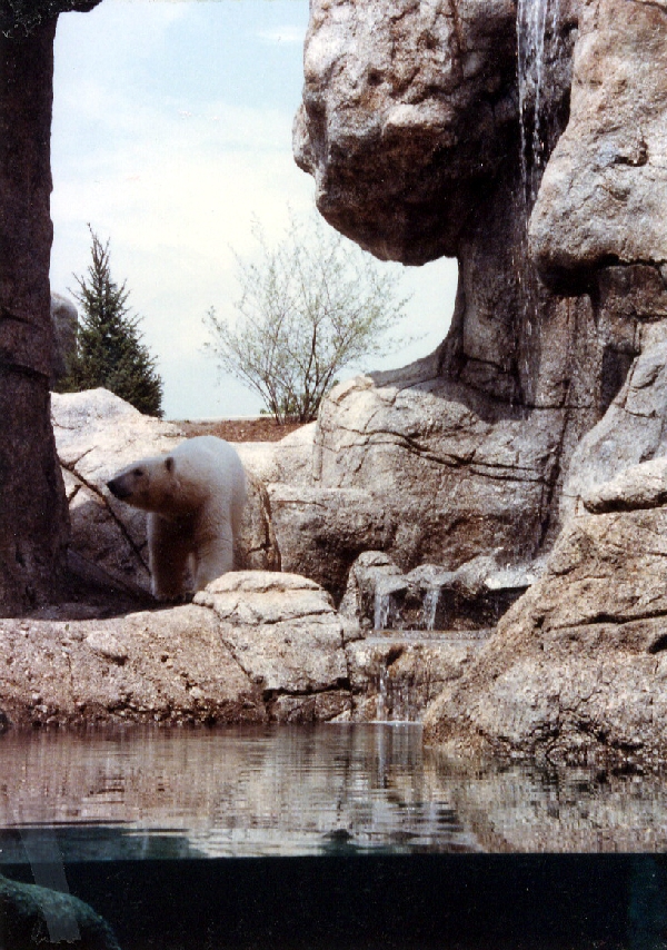Various pictures of the Waters building