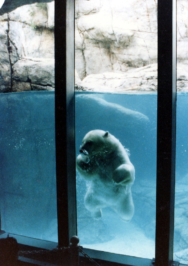 Various pictures of the Waters building