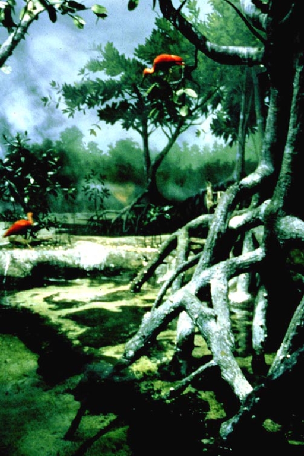 Various pictures of the Waters building