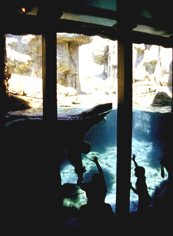 Various pictures of the Waters building