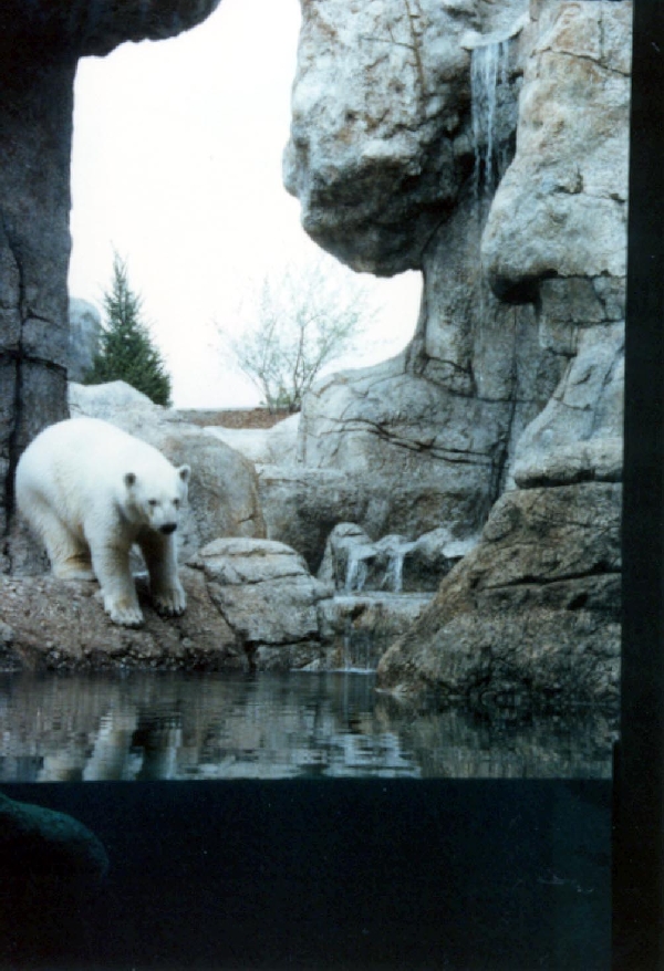 Various pictures of the Waters building