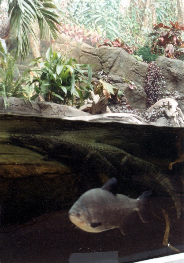 Various pictures of the Waters building