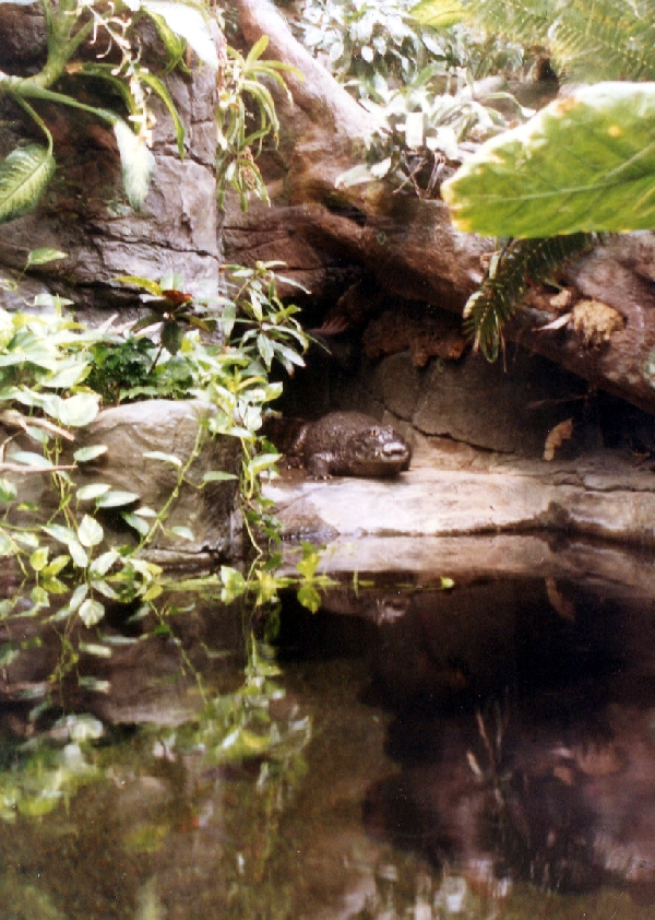 Various pictures of the Waters building