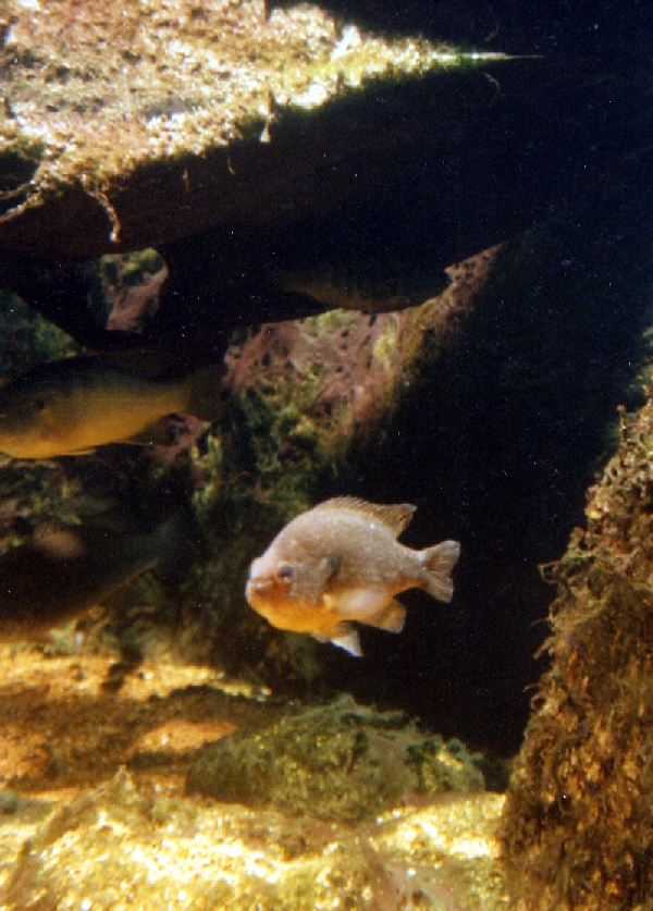 Various pictures of the Waters building