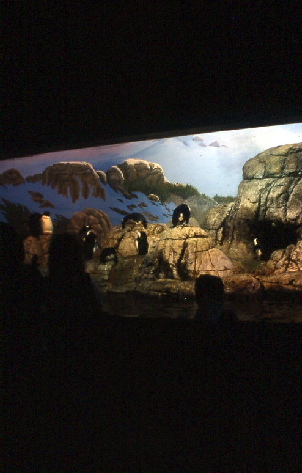 Various pictures of the Waters building