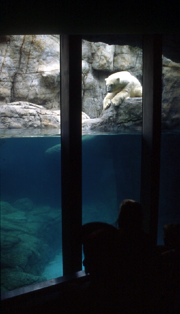 Various pictures of the Waters building