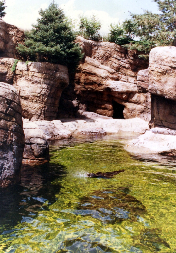 Various pictures of the Waters building