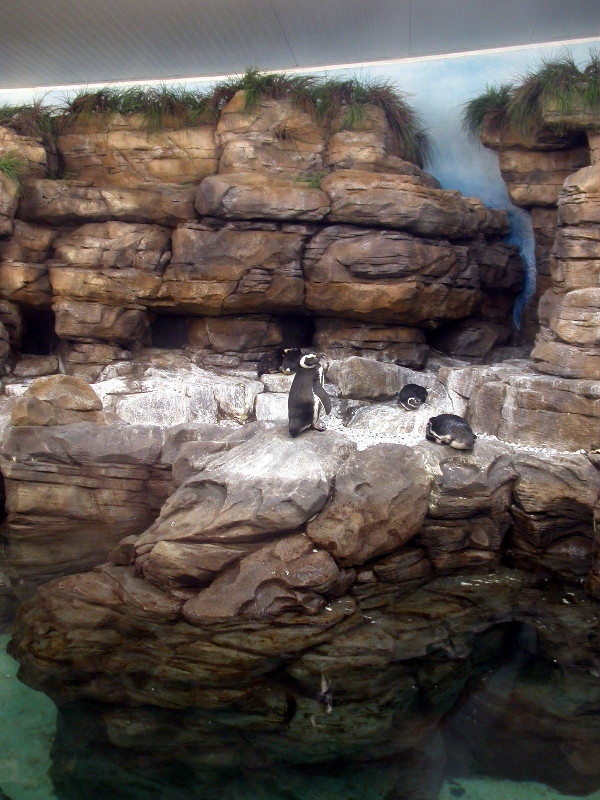 Various Pictures of Valencia Exhibits