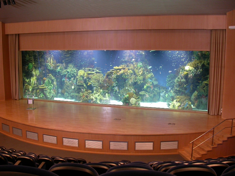 Various Pictures of Valencia Exhibits