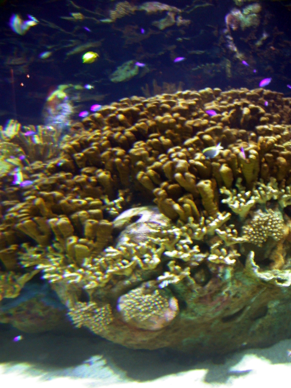 Various Pictures of Valencia Exhibits