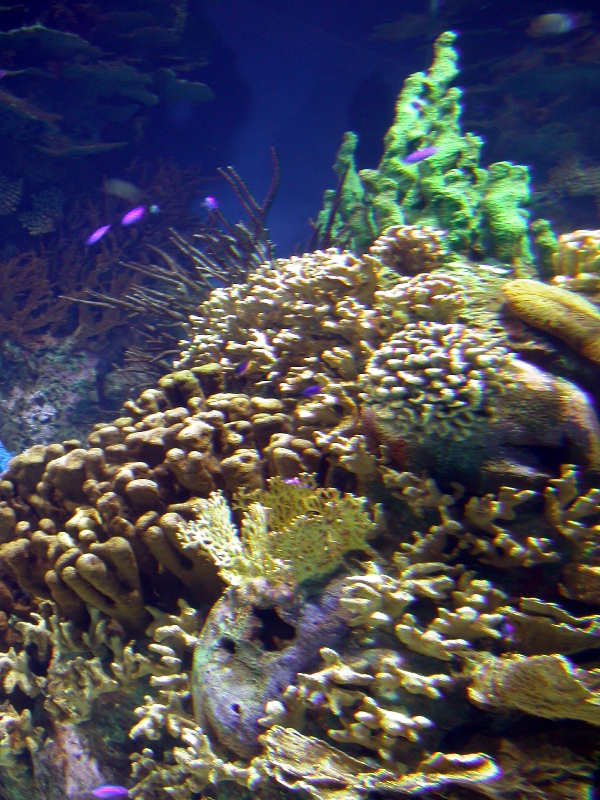 Various Pictures of Valencia Exhibits