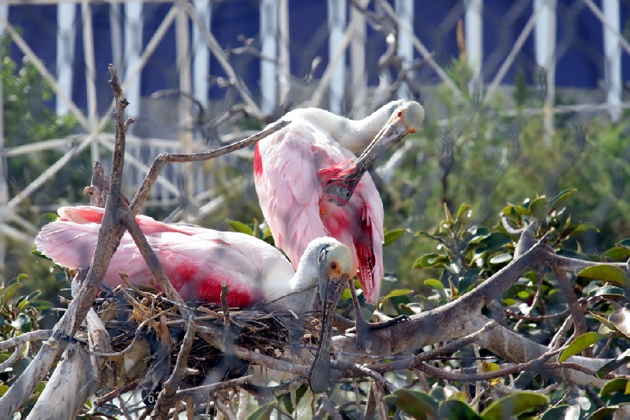 Various Pictures of Valencia Exhibits