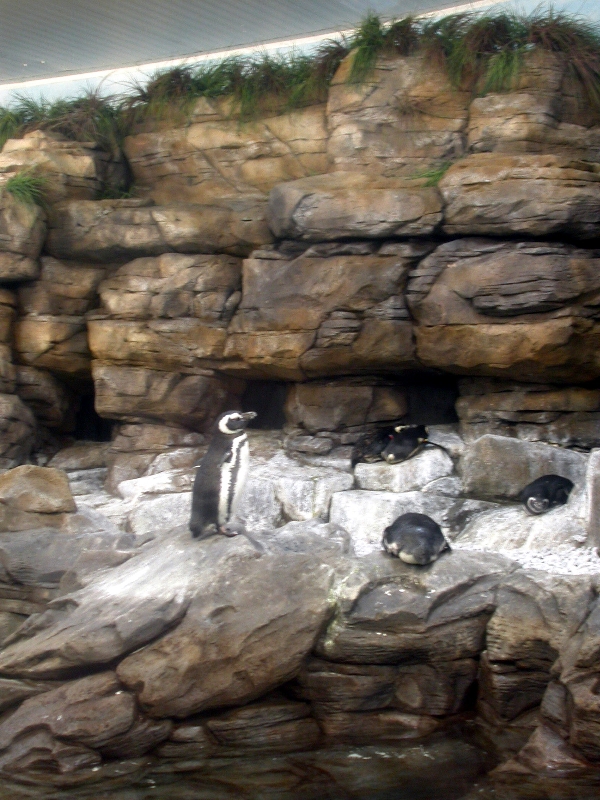 Various Pictures of Valencia Exhibits