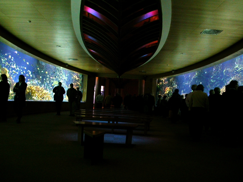 Various Pictures of Valencia Exhibits