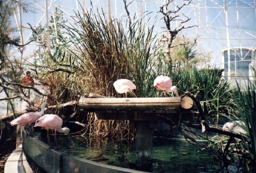 Various Pictures of Valencia Exhibits