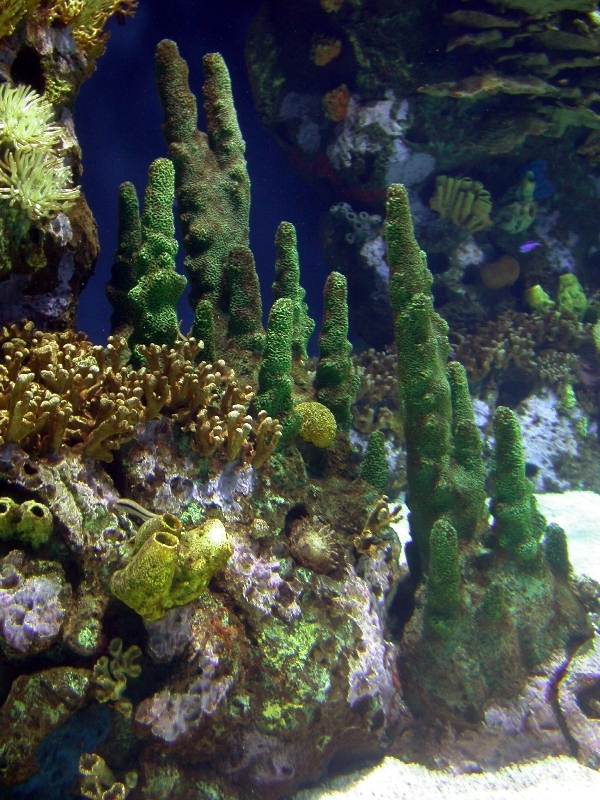 Various Pictures of Valencia Exhibits