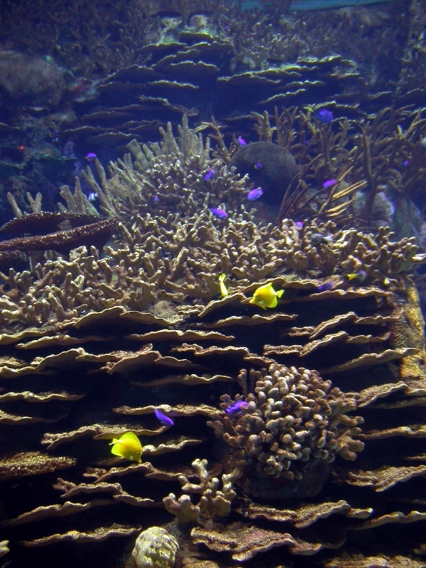 Various Pictures of Valencia Exhibits