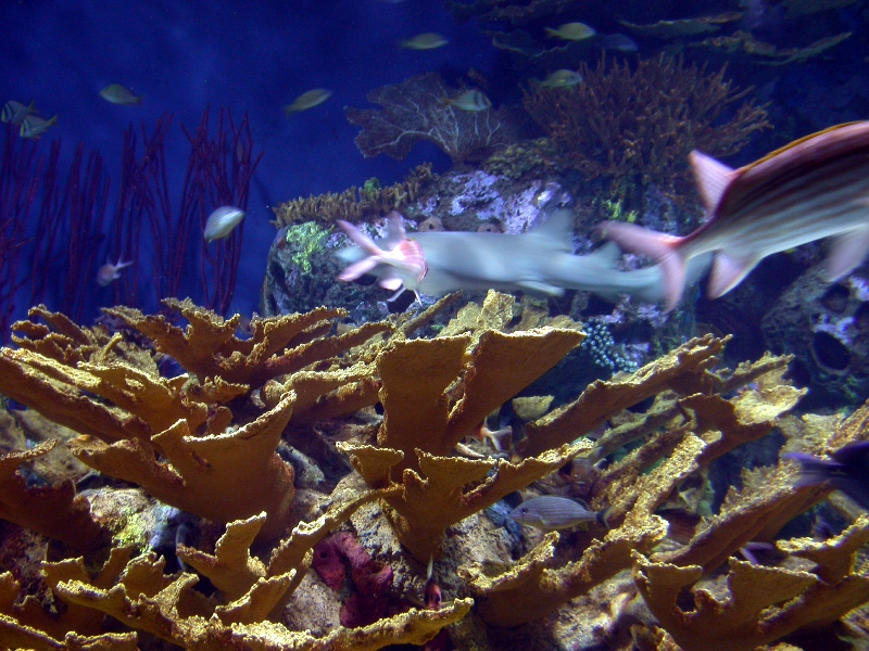 Various Pictures of Valencia Exhibits