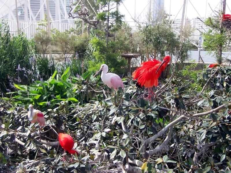 Various Pictures of Valencia Exhibits