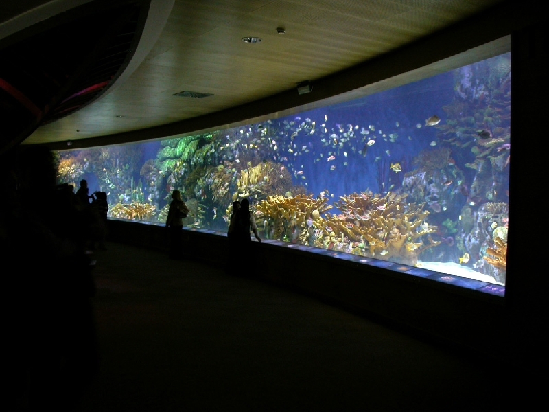 Various Pictures of Valencia Exhibits