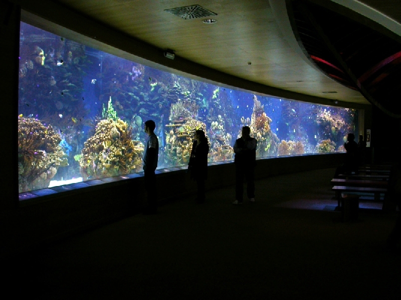 Various Pictures of Valencia Exhibits