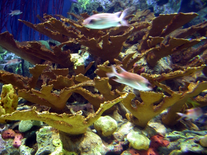 Various Pictures of Valencia Exhibits