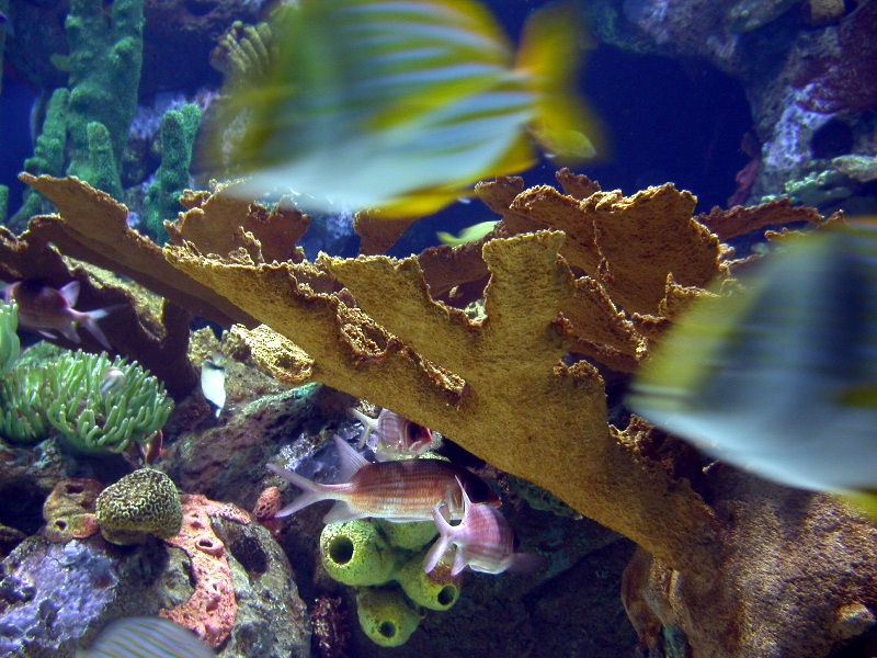 Various Pictures of Valencia Exhibits