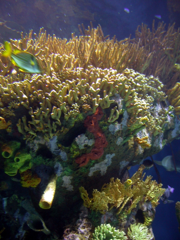 Various Pictures of Valencia Exhibits