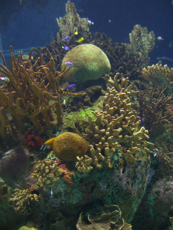 Various Pictures of Valencia Exhibits