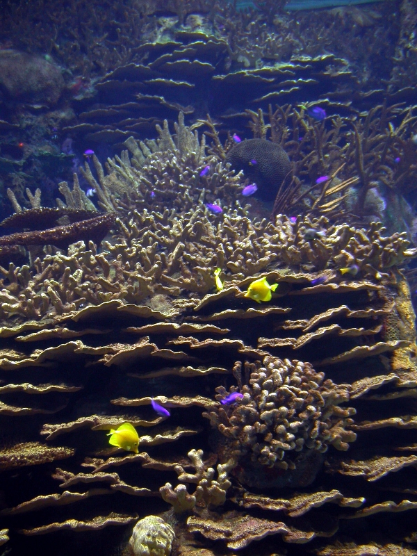 Various Pictures of Valencia Exhibits