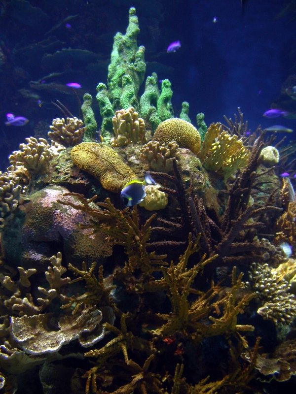 Various Pictures of Valencia Exhibits