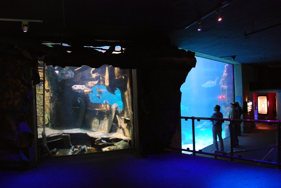 various pictures of Virginia Aquarium