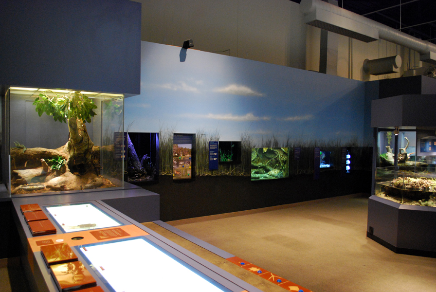 various pictures of Virginia Aquarium