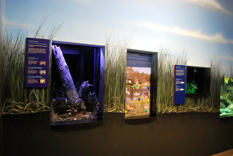 various pictures of Virginia Aquarium