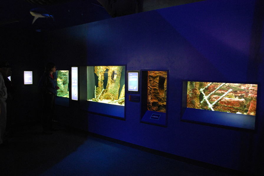 various pictures of Virginia Aquarium