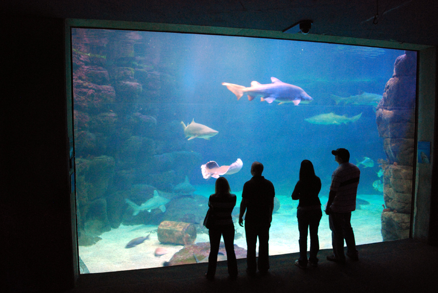 various pictures of Virginia Aquarium