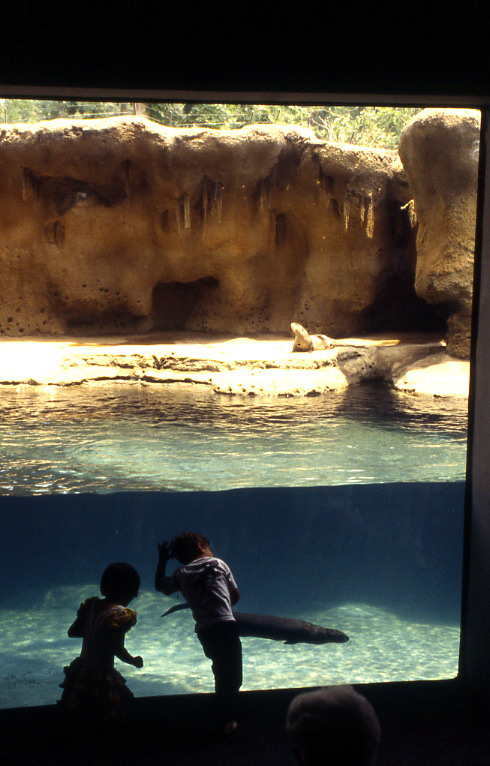 various pictures of Virginia Aquarium