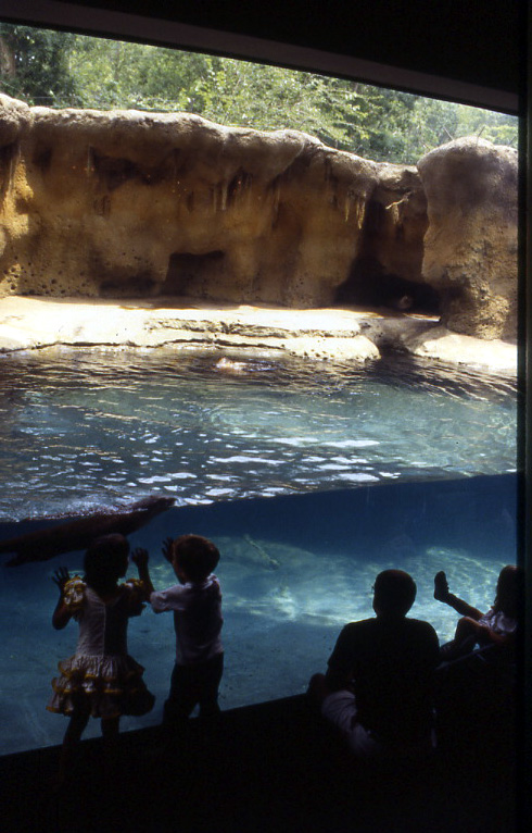 various pictures of Virginia Aquarium