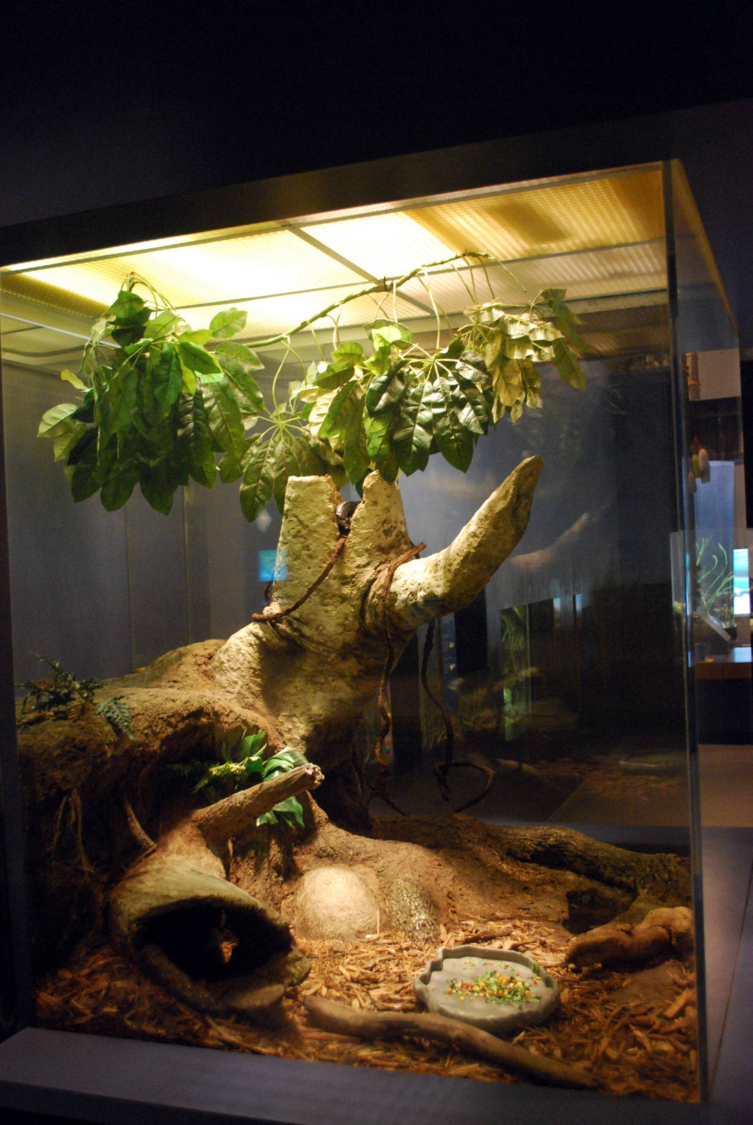 various pictures of Virginia Aquarium