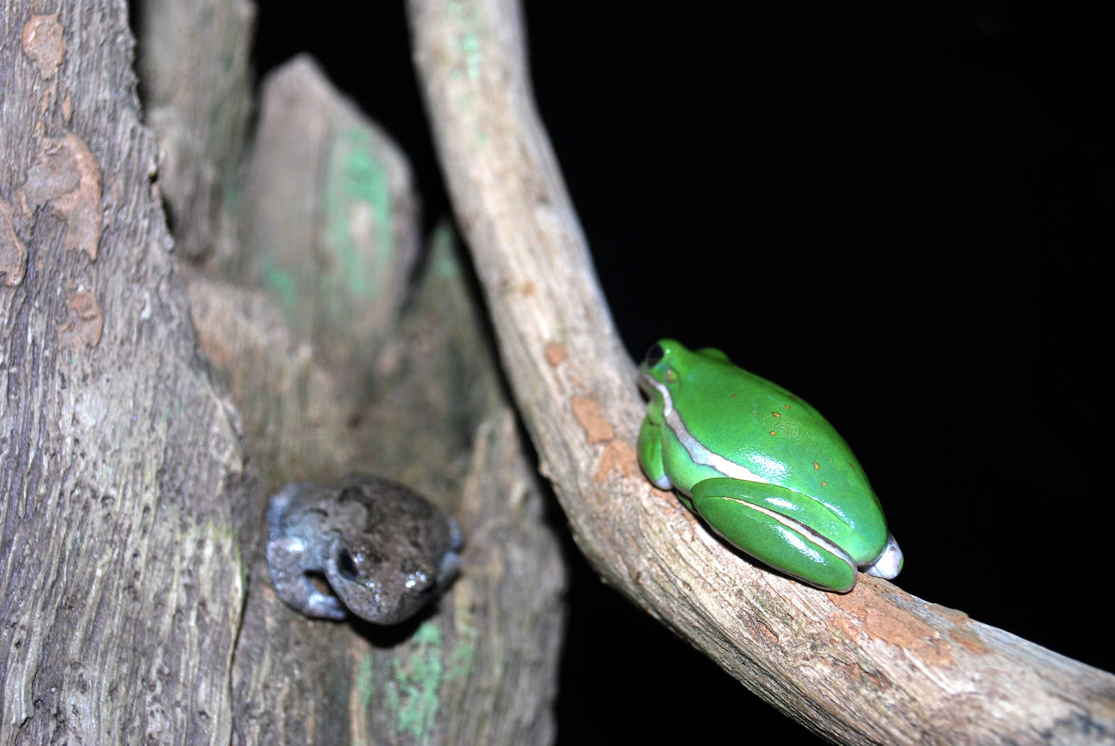 various pictures of Virginia Aquarium