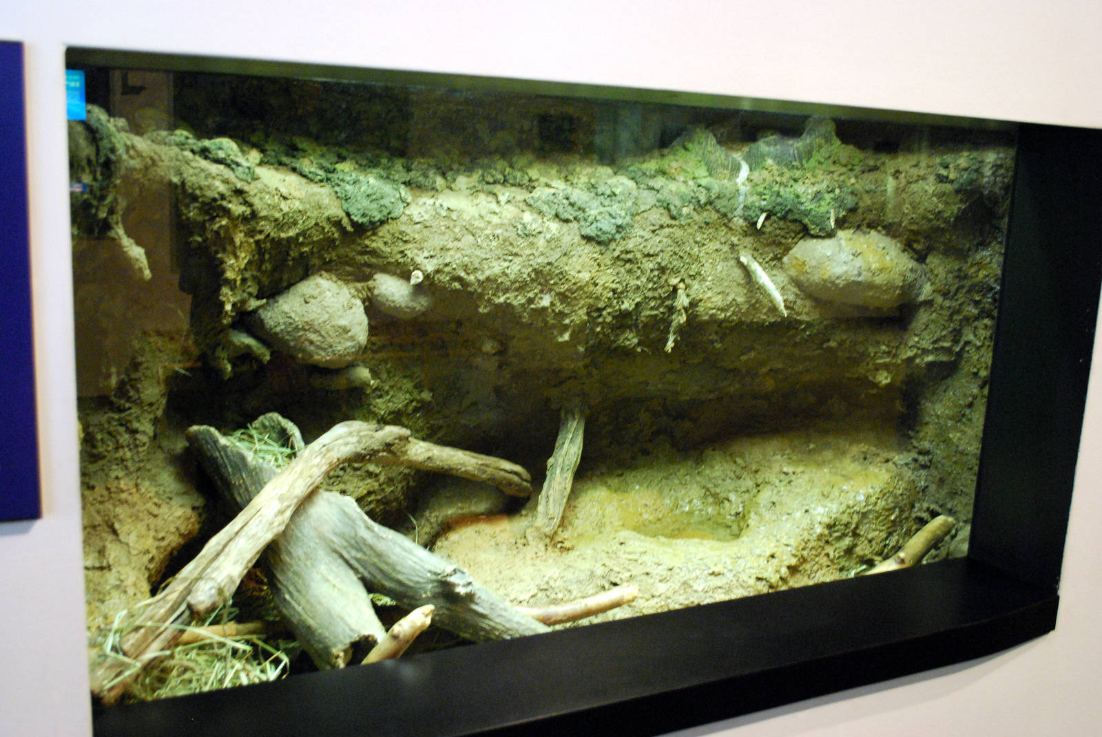 various pictures of Virginia Aquarium