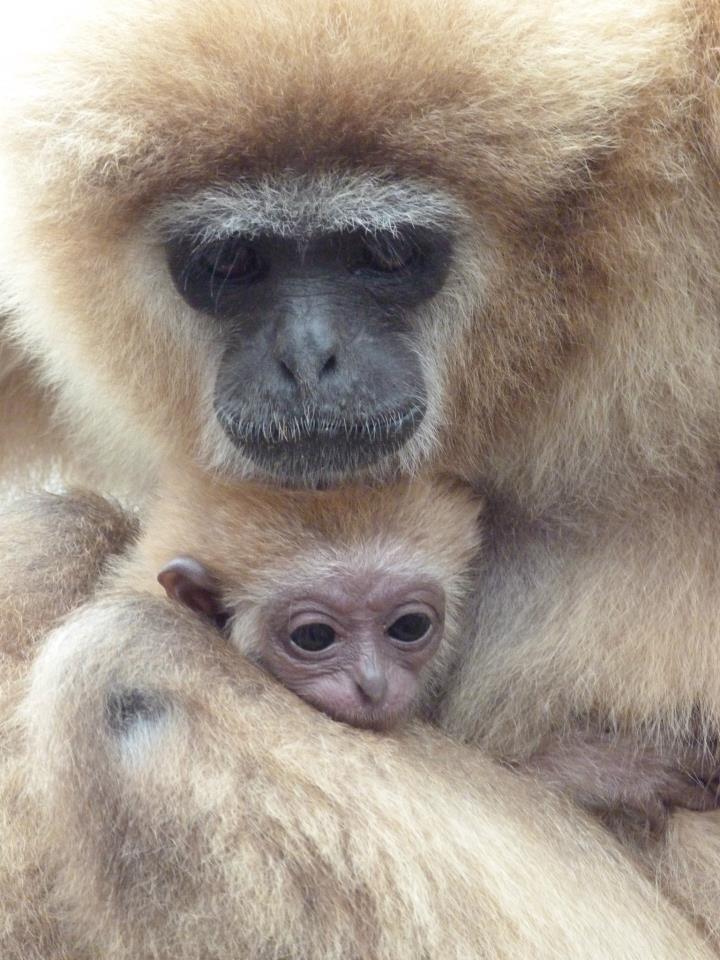 Various recent photos at PWP