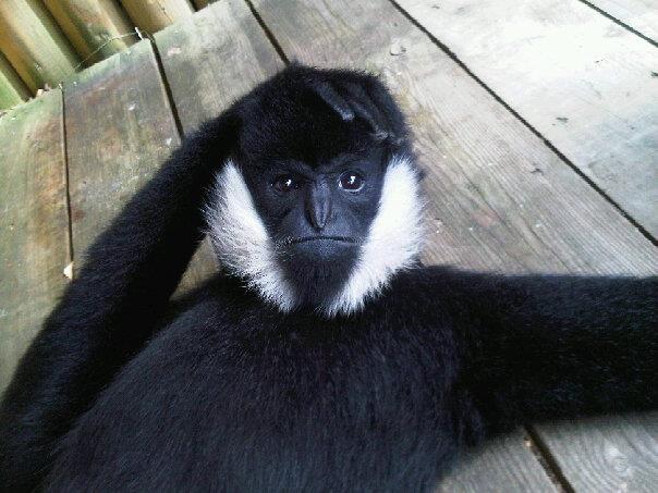 Various recent photos at PWP