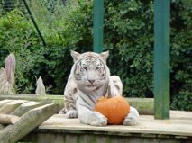 Various recent photos at PWP