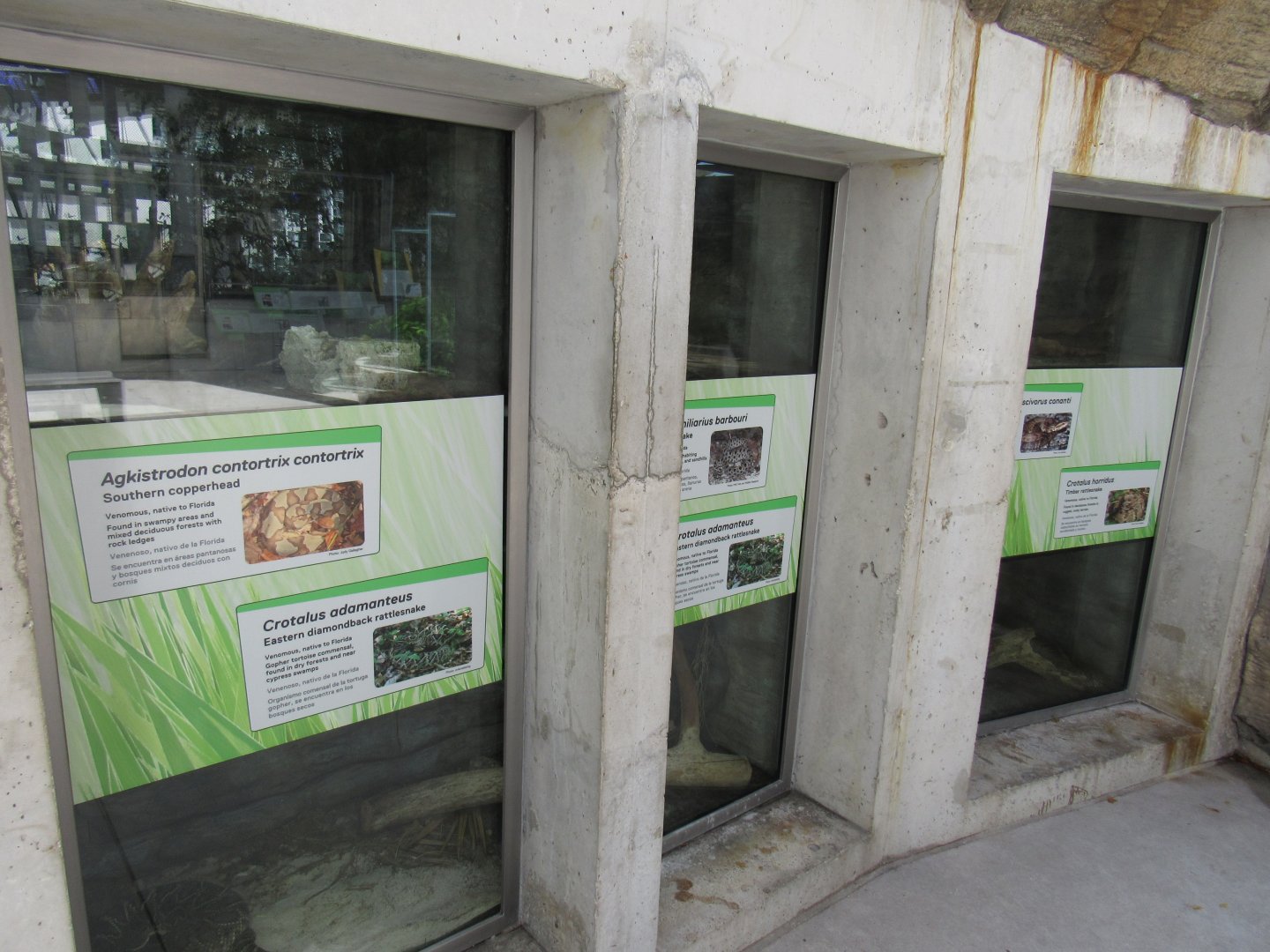 Various reptile exhibits