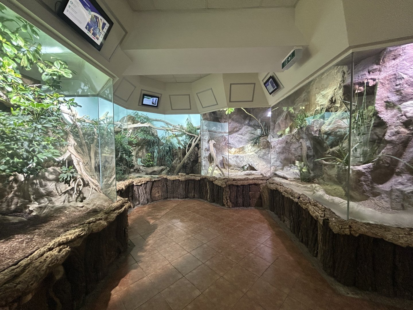 Various Reptile Exhibits