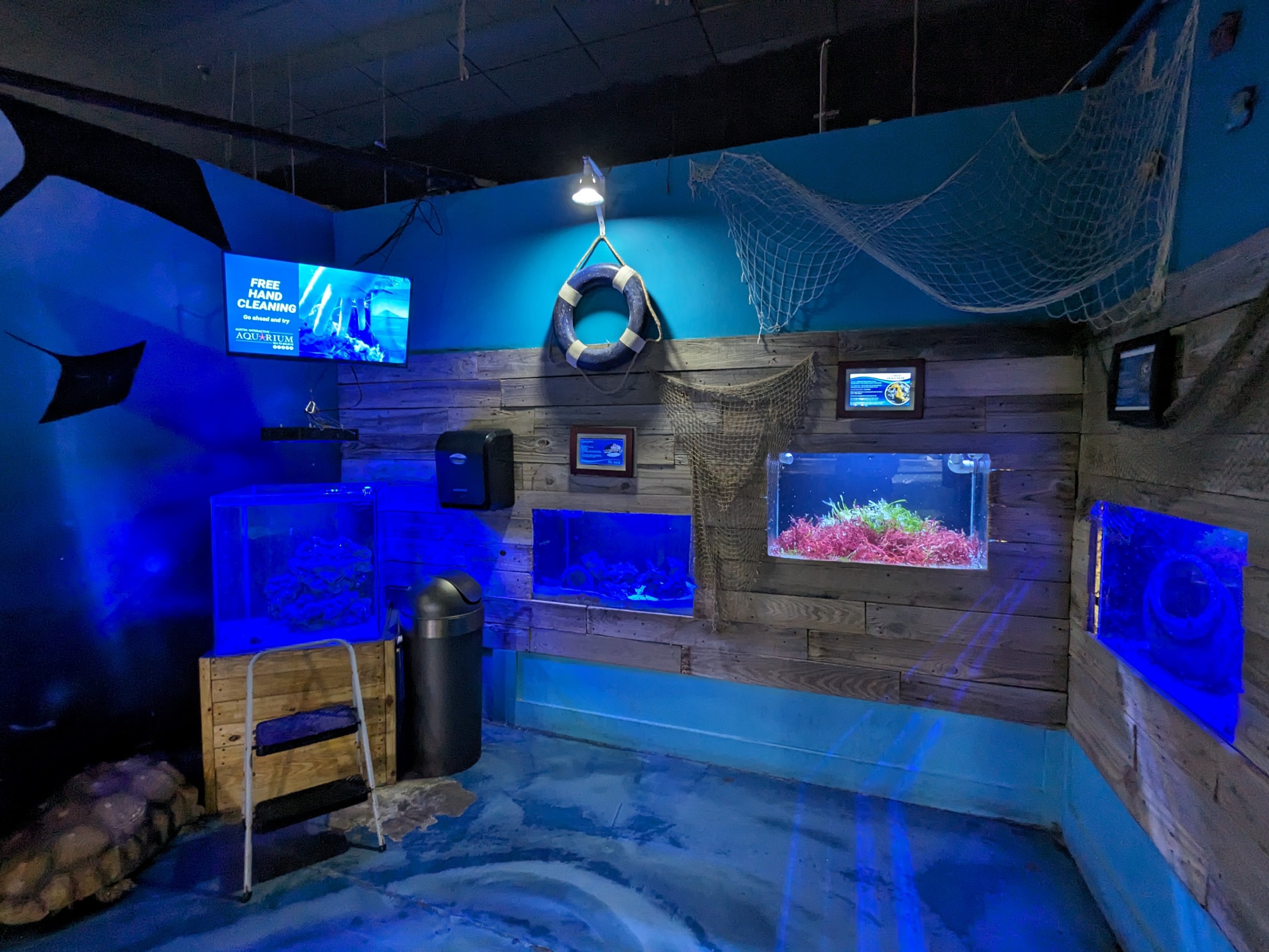 Various saltwater tanks