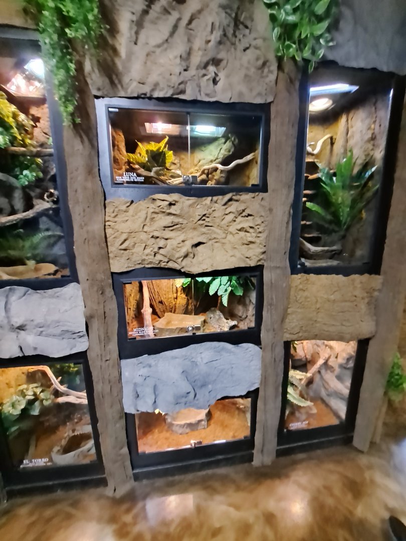 Various smaller exhibits (4/19/25)